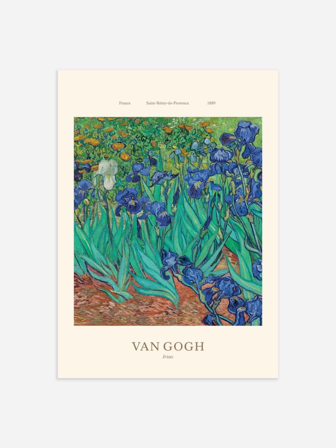 Irises by Vincent Van Gogh Plakat