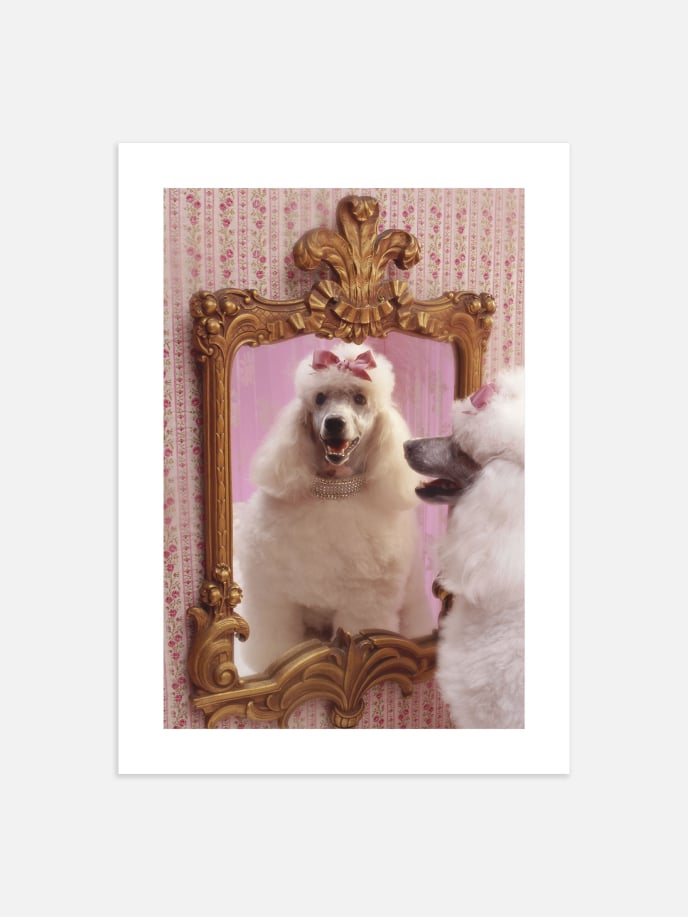 Poodle Salon Poster