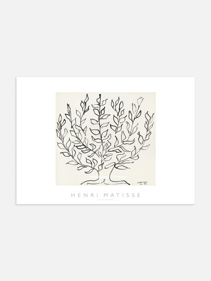Le Platane by Henri Matisse Juliste