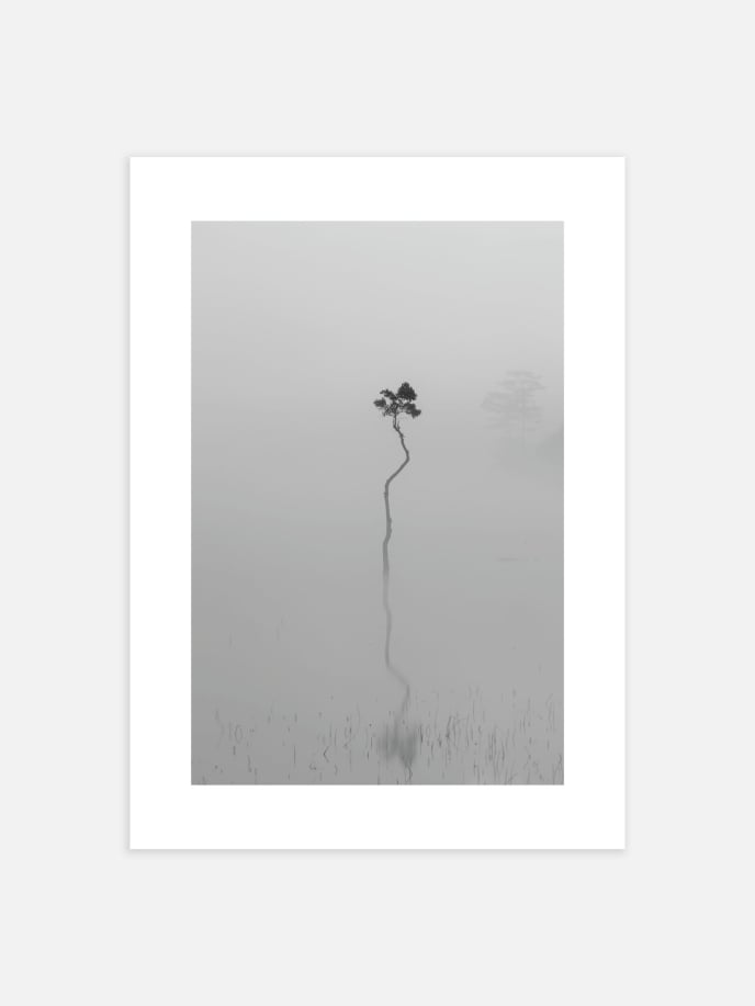Tree in Mist Poster
