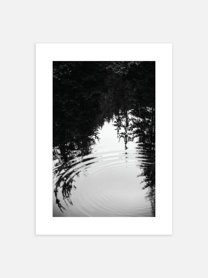 Reflecting Forest Poster